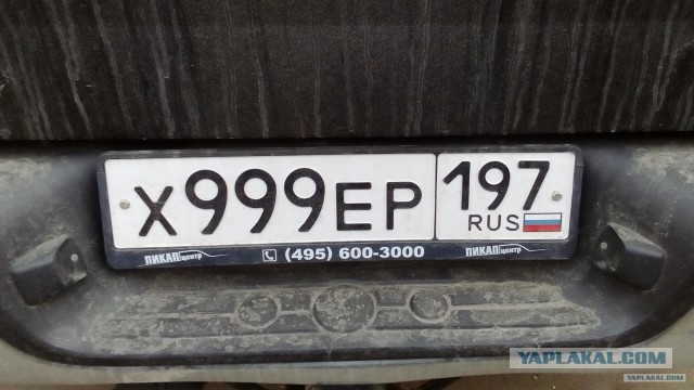 10 лет брака псу под хвост