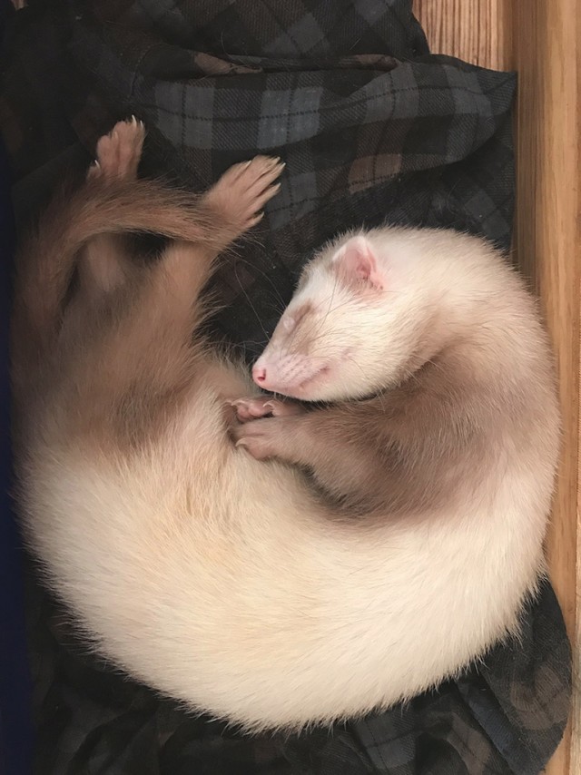 Рыбная солянка