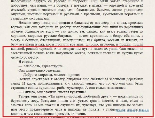 Бредзона 26.10.2020