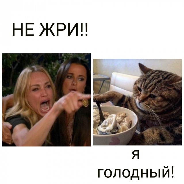 Кота обидеть может каждый