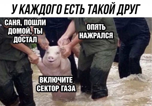 Годные картинки и не очень...