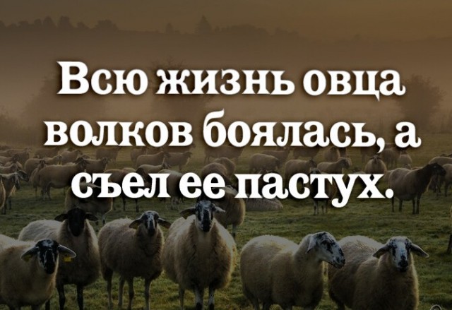 Полезший в драку с омоновцами чеченец раскаялся в своём поступке