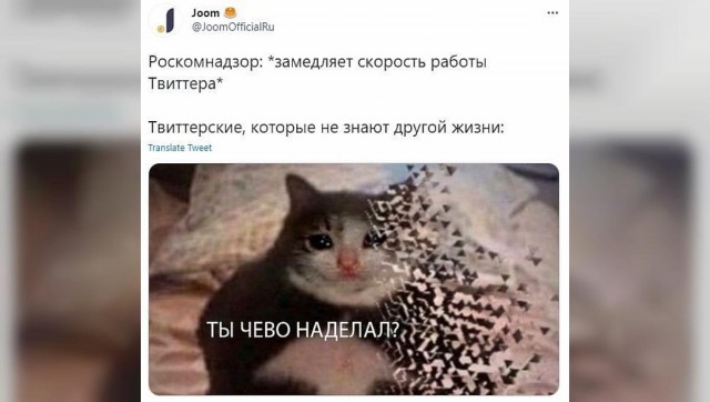 "Роскомнадзор, замедли лучше мои оргазмы". Пользователи сети стебутся с очередной корявой попытки РКН проявить себя