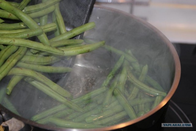 Фасоль – International, Или «Веселые нотки»