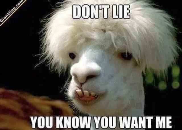 Картинки и мемы для настроения 05.08.2021