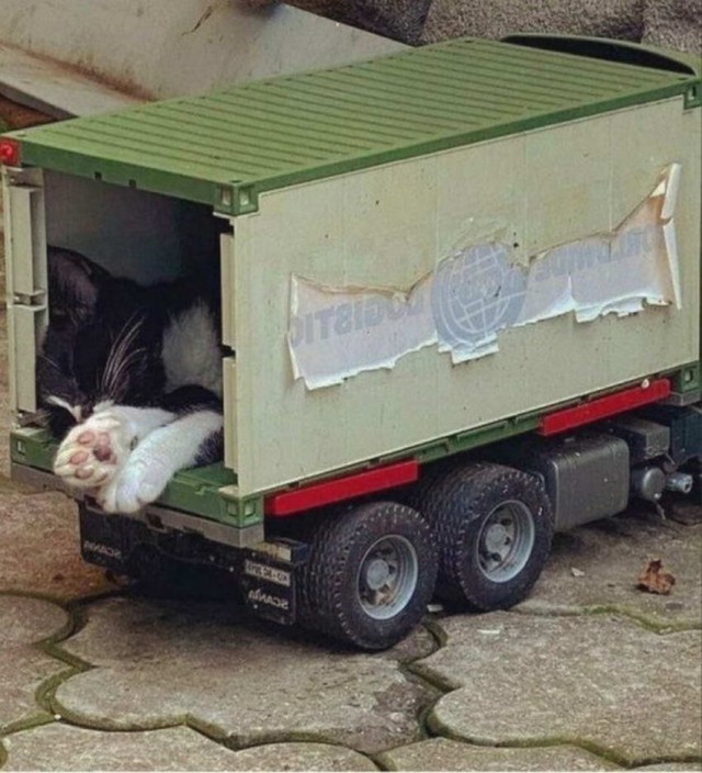 Один шаг и она начнется