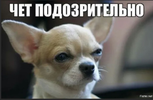 40 картинок разных 03.02.2022