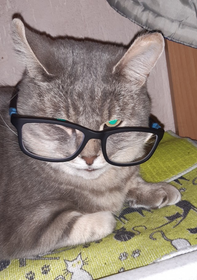 Весёлые картинки 13.04.2022