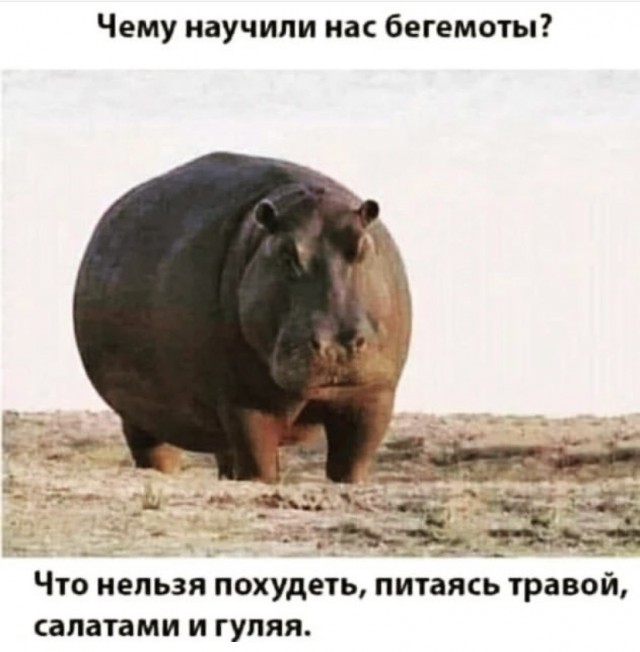 50 оттенков серого.  Vol. 2 Или вамосвал баянов