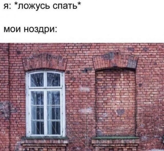 Картинки и мемы для настроения  - 31