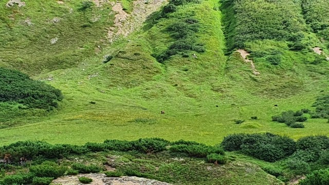Сахалин, Кунашир и Камчатка за две недели.