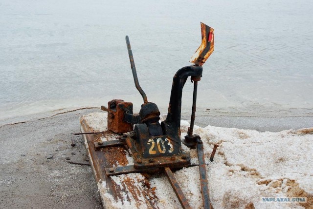 Вот в чем вся соль!