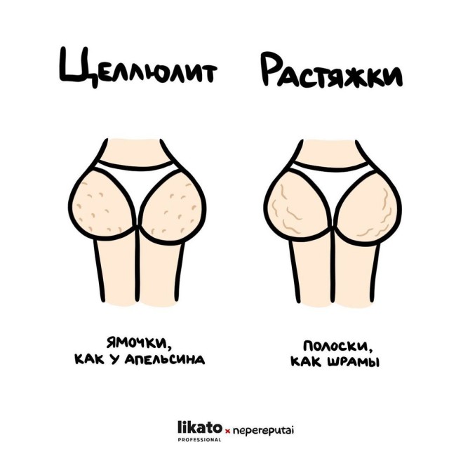 Смотри, Кутузов, не перепутай... vol.2