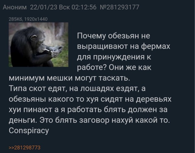 Почему обезьяны пинают х*и?
