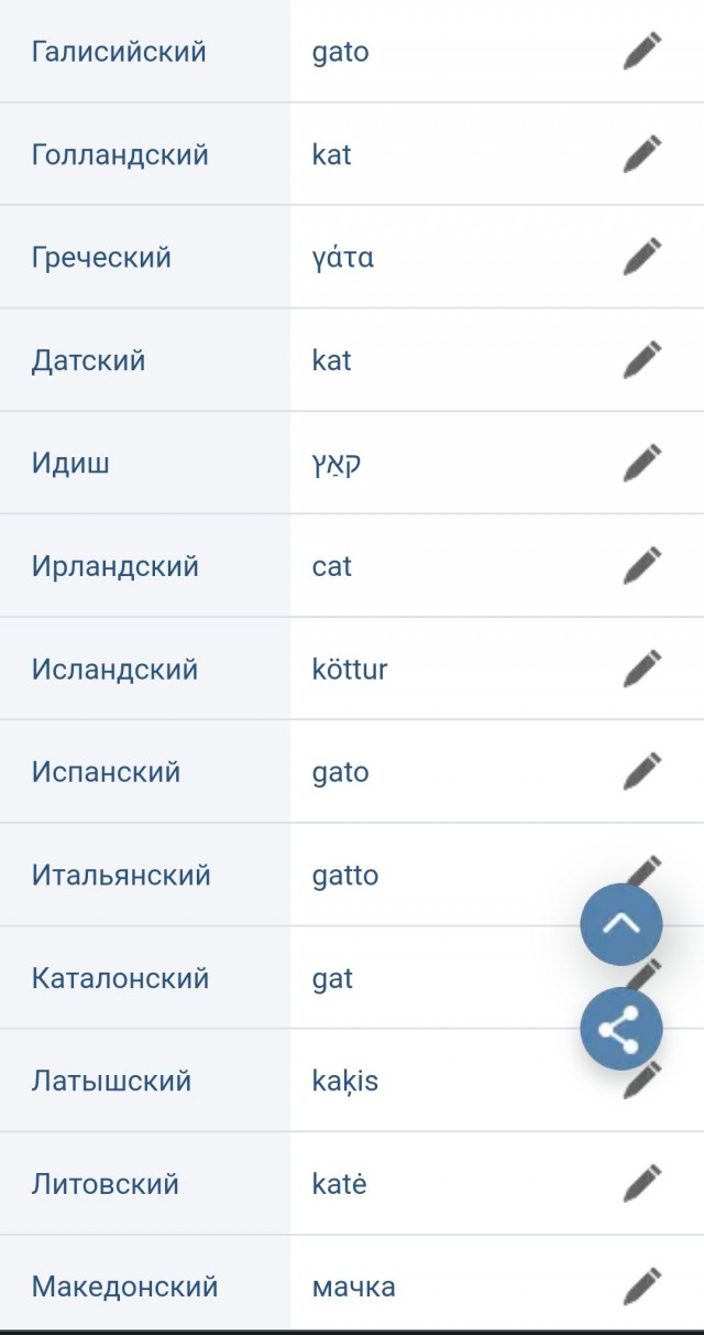 Коты лучше знают
