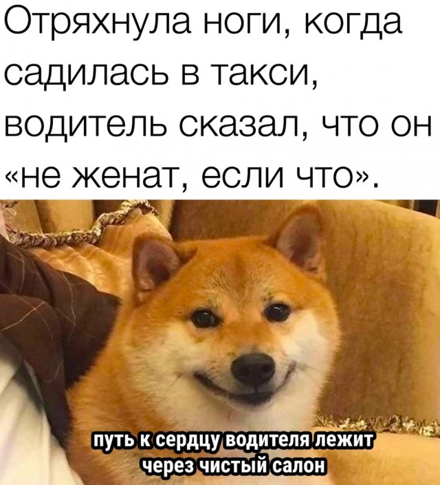 Так себе картинки 04.11.23