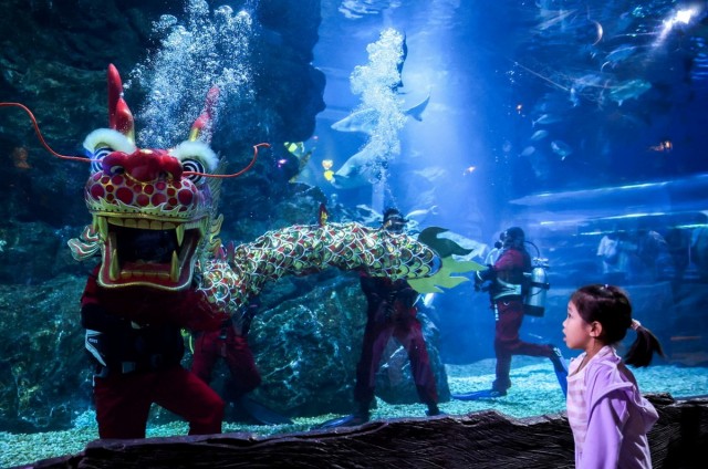 Подборка интересных и веселых картинок 13.02.24