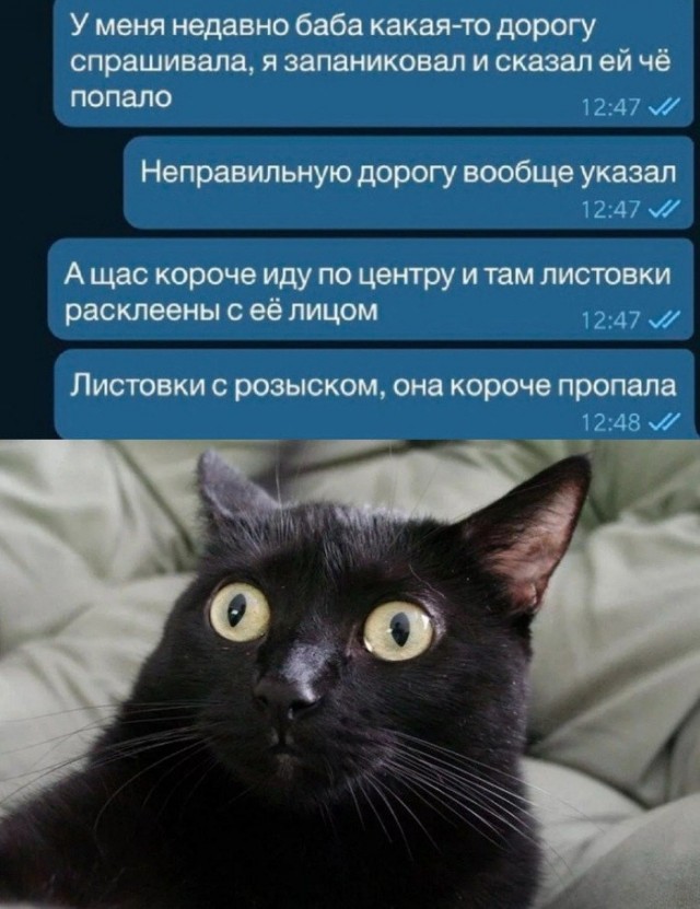 Всего понемногу. От 31.05.2024