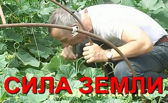 Попёрло!