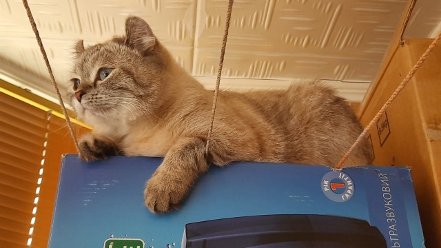 Вот скажите