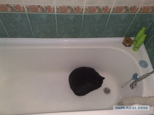 Мелом обвести?