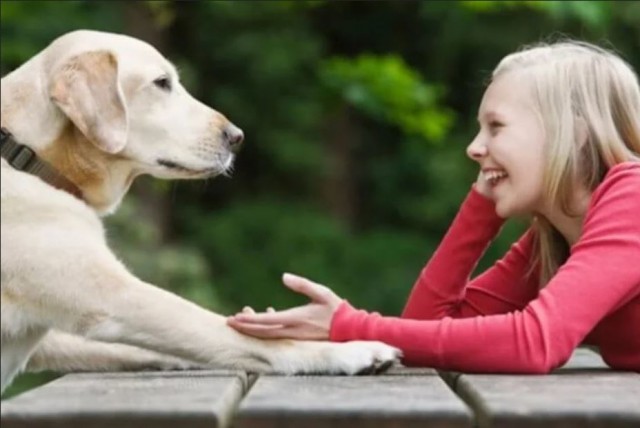 Baidu запатентует технологию перевода звуков животных на человеческий язык