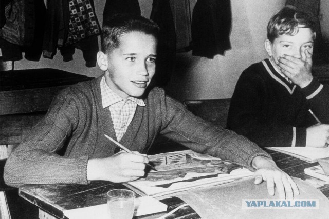 Победа не дает силу. Силу дает борьба - Железному Арни сегодня 78 лет