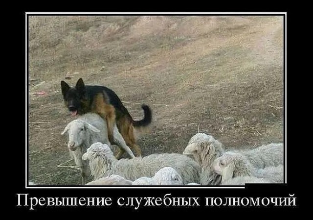 Грусть-тоска одолевает? Ебанина поспевает!