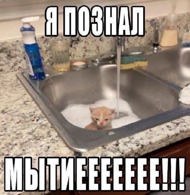 Так себе картинки 15.10.25