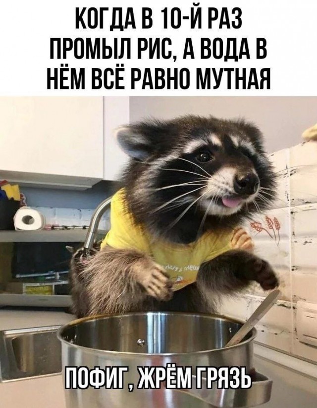 Картинки для деградации 69 (разной степени свежести)