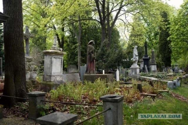 90-летняя блокадница судилась ради захоронения рядом со своими родителями