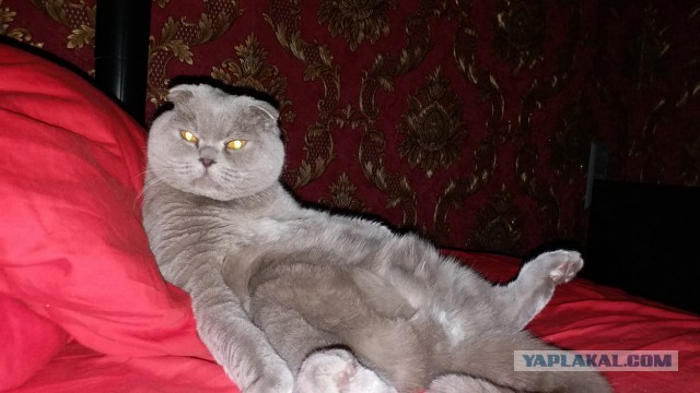 Вторник.