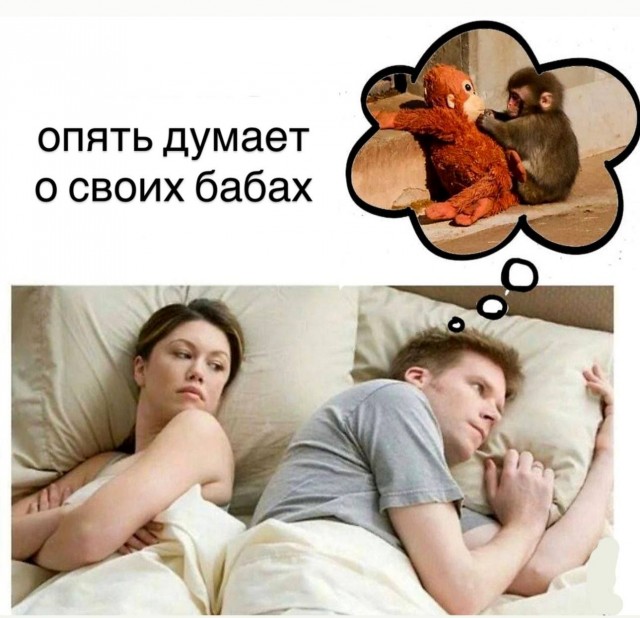 Картинки для деградации 146 (разной степени свежести)