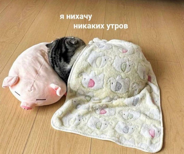 Вторника картинки