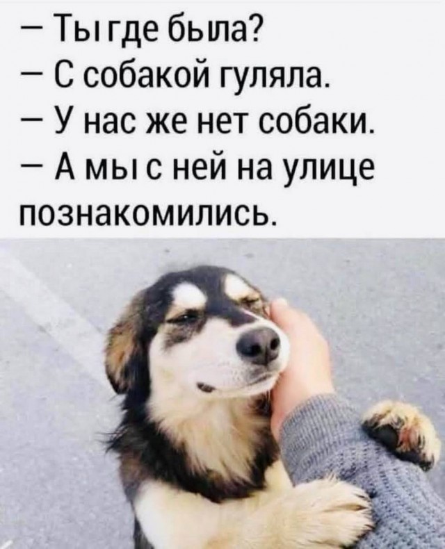 Картиночки, баянчики 19 марта