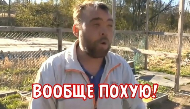 В Нидерландах наступили лихие 90-е