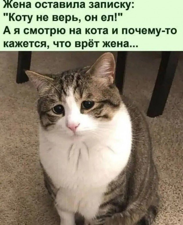 Народная меДИЧина v2.0
