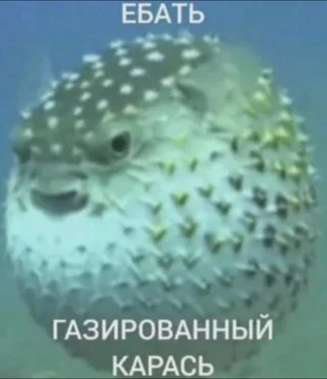 Всякой дряни притащил