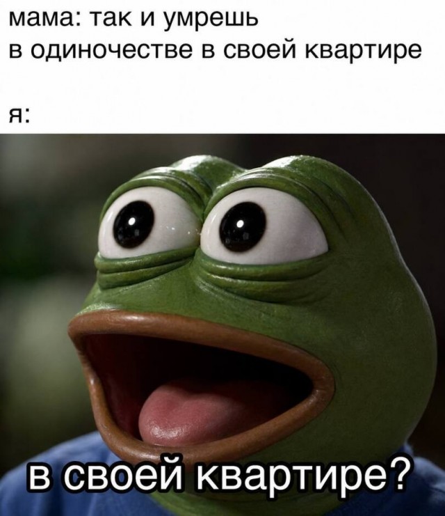 Картинки для деградации 243 (разной степени свежести)