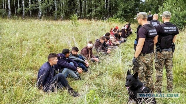 ЕС полностью освободил Польшу от выполнения миграционного пакта