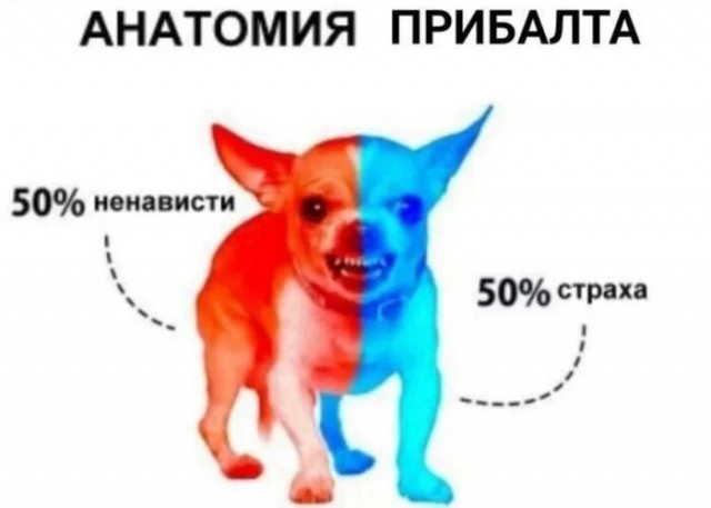 Эстония запретила транзит зерна из РФ и Белоруссии