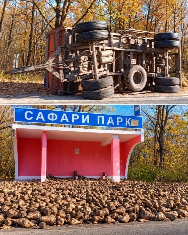 У «Кудыкиной горы» засыпало свеклой остановку.
