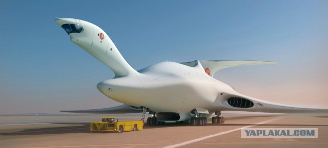Захватывающие биомиметические самолеты