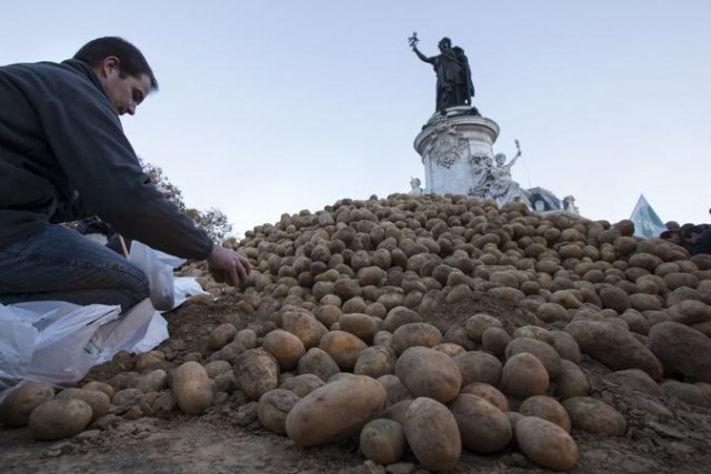 Невостребованный Россией картофель разбросан
