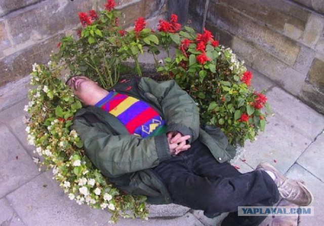 Инстаграм наследного принца Дубая
