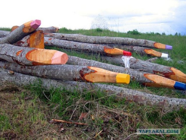 Веселые картинки