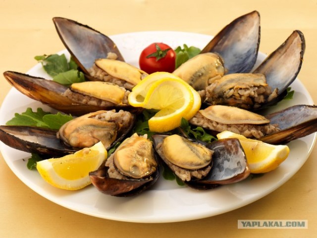 Что имеем - не ценим, потерявши - плачем