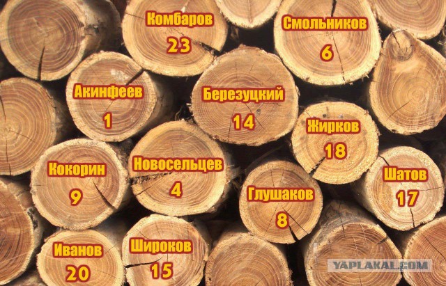 73% россиян сказали, что им безразличен футбол