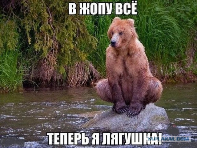 Приколы из сети