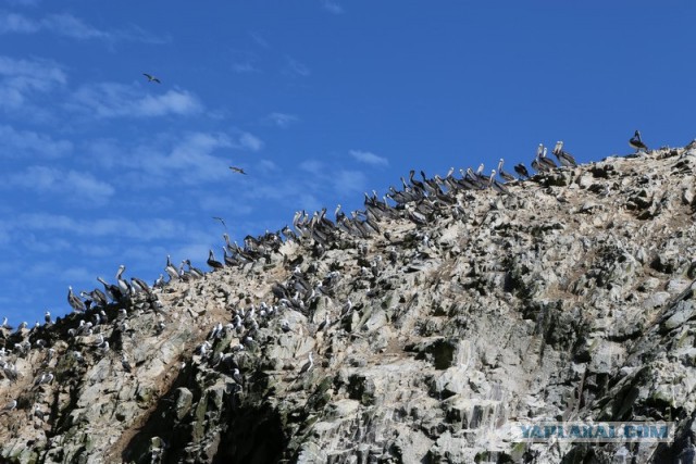 Отчет о путешествии в  Перу